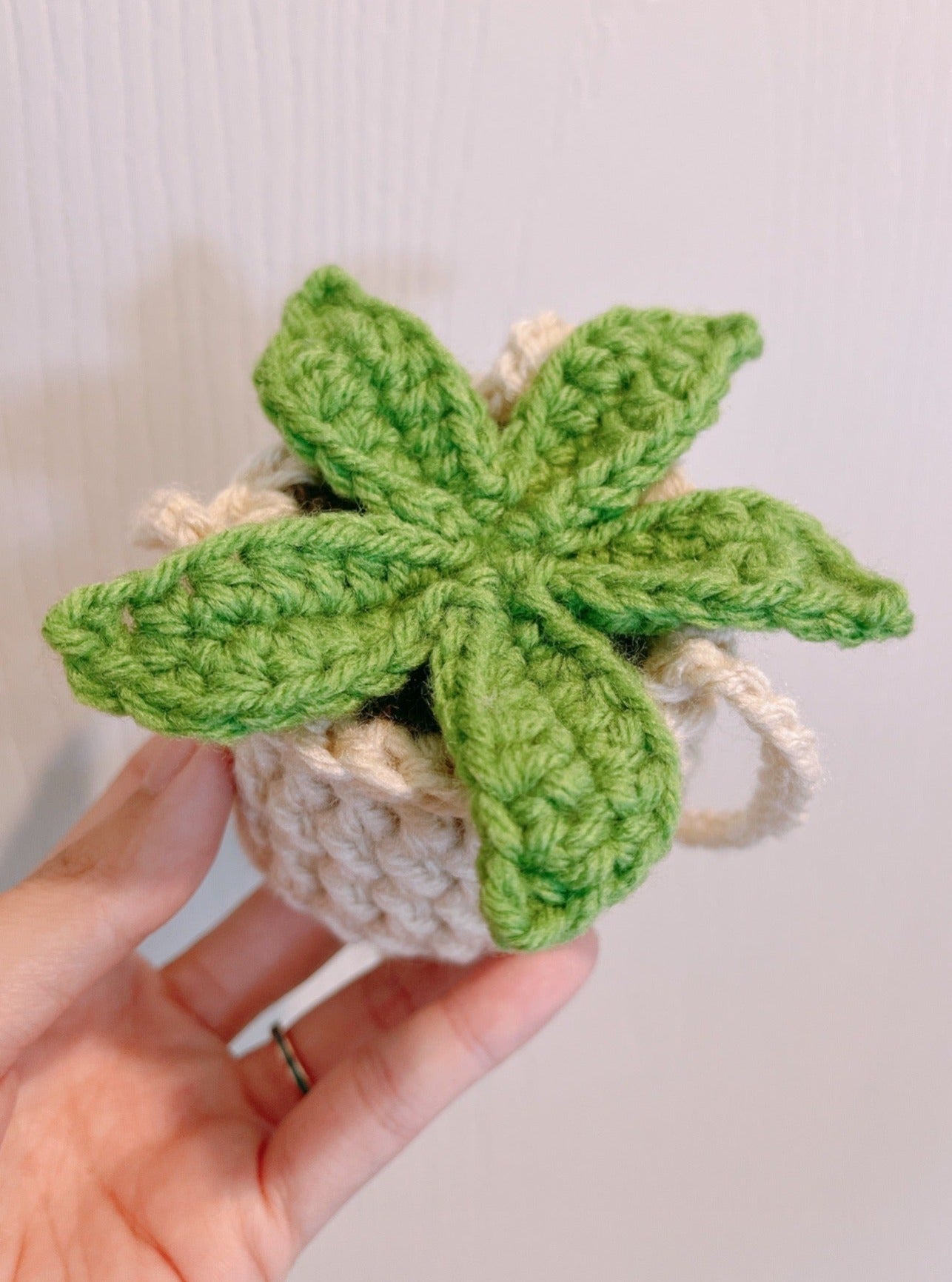 star plant pot Star Plant Pot Hanging Plant