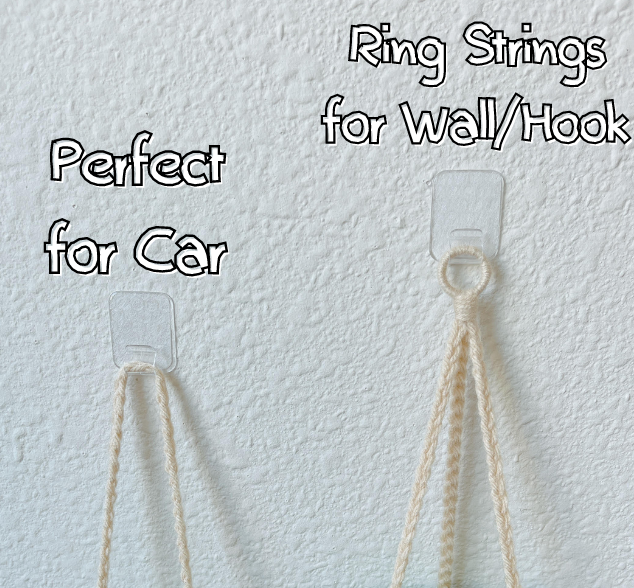 Star Plant Pot Hanging Plant | Car Ornament