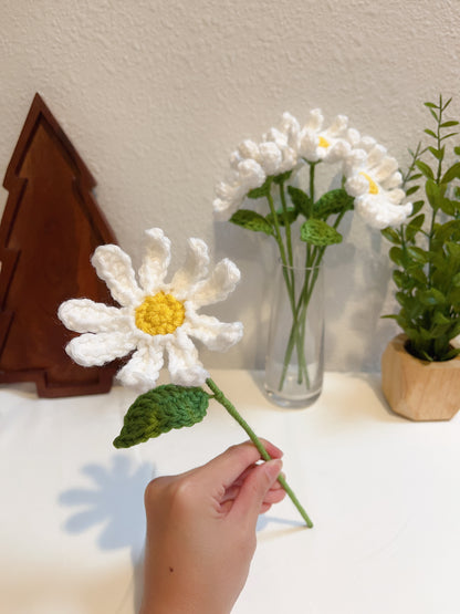 Daisy Bouquet