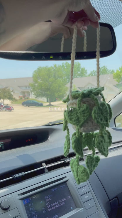 String of Heart Hanging Plant | Car Ornament