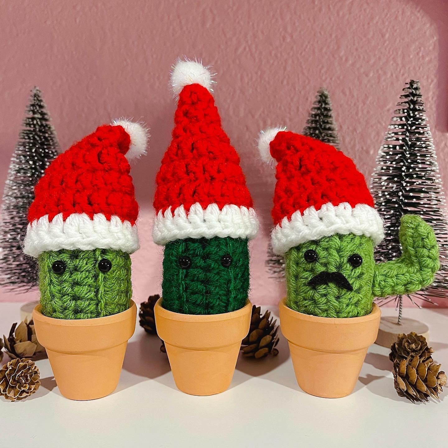 Santa Hat Cactus