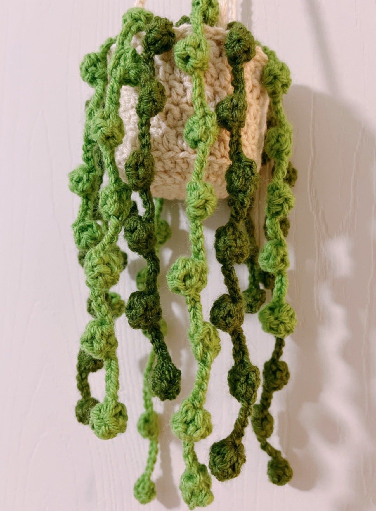 String of Pearl Hanging Plant | Car Ornament