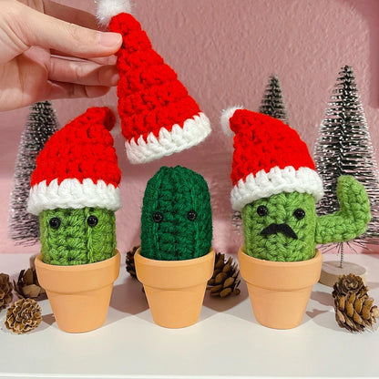 Santa Hat Cactus