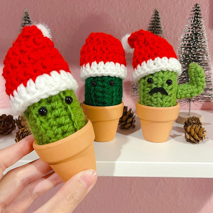 Santa Hat Cactus