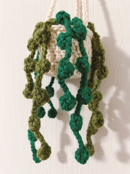 String of Pearl Hanging Plant | Car Ornament