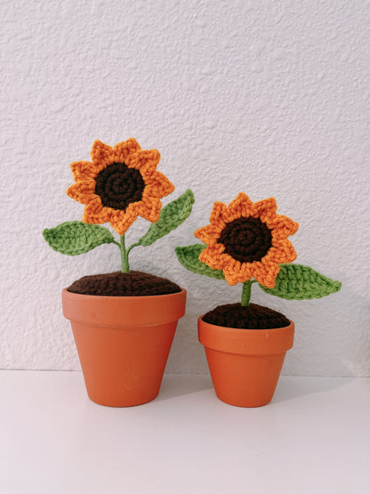 Sunflower in Clay Pot