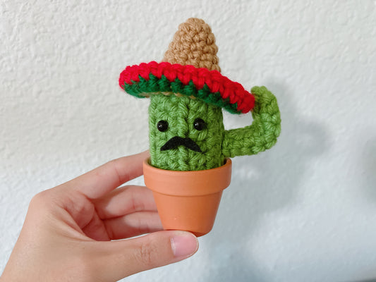 Cactus (in clay pot)
