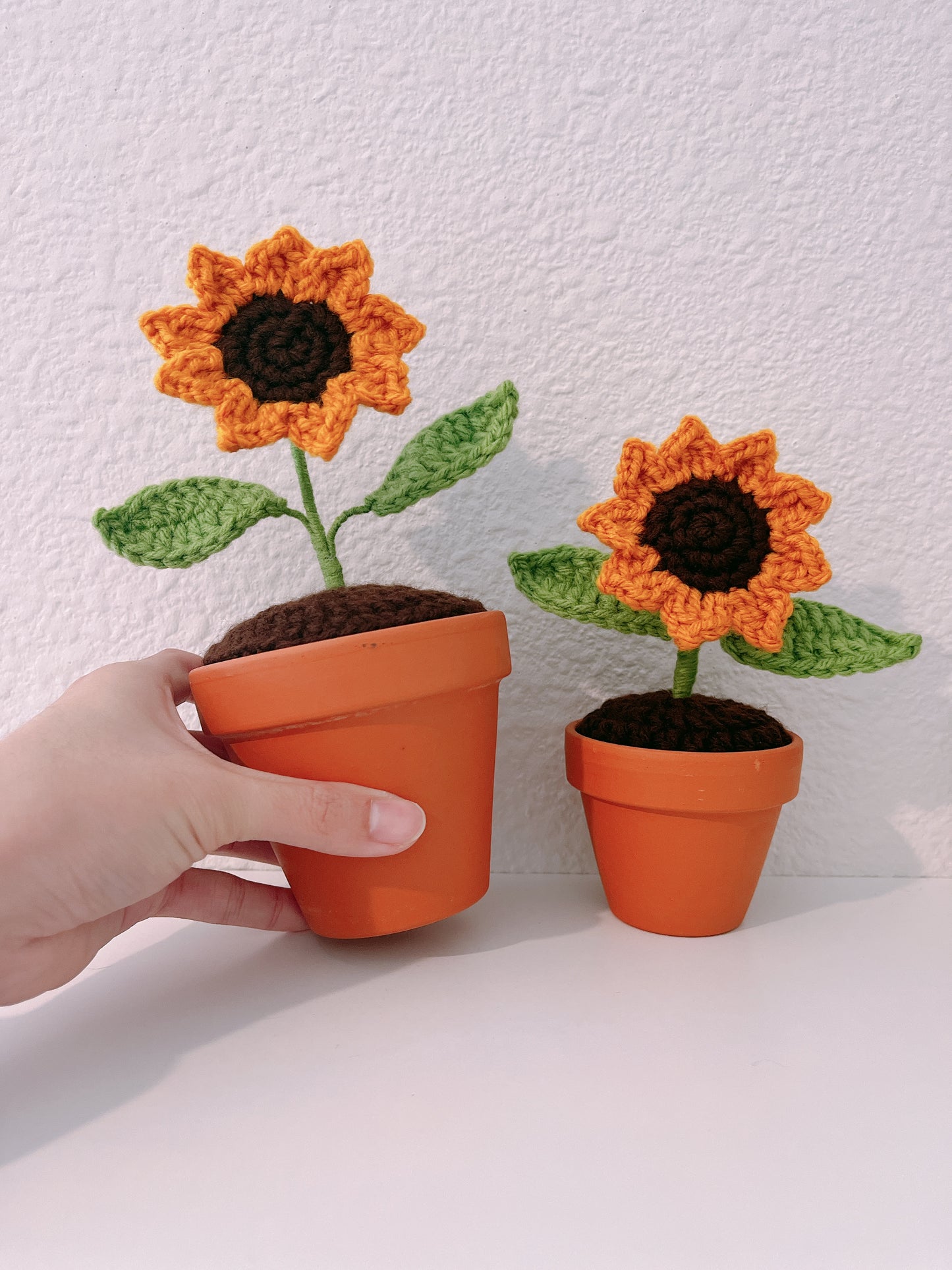 Sunflower in Clay Pot