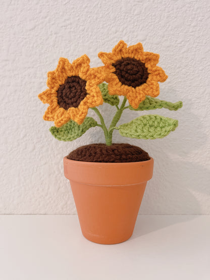 Sunflower in Clay Pot